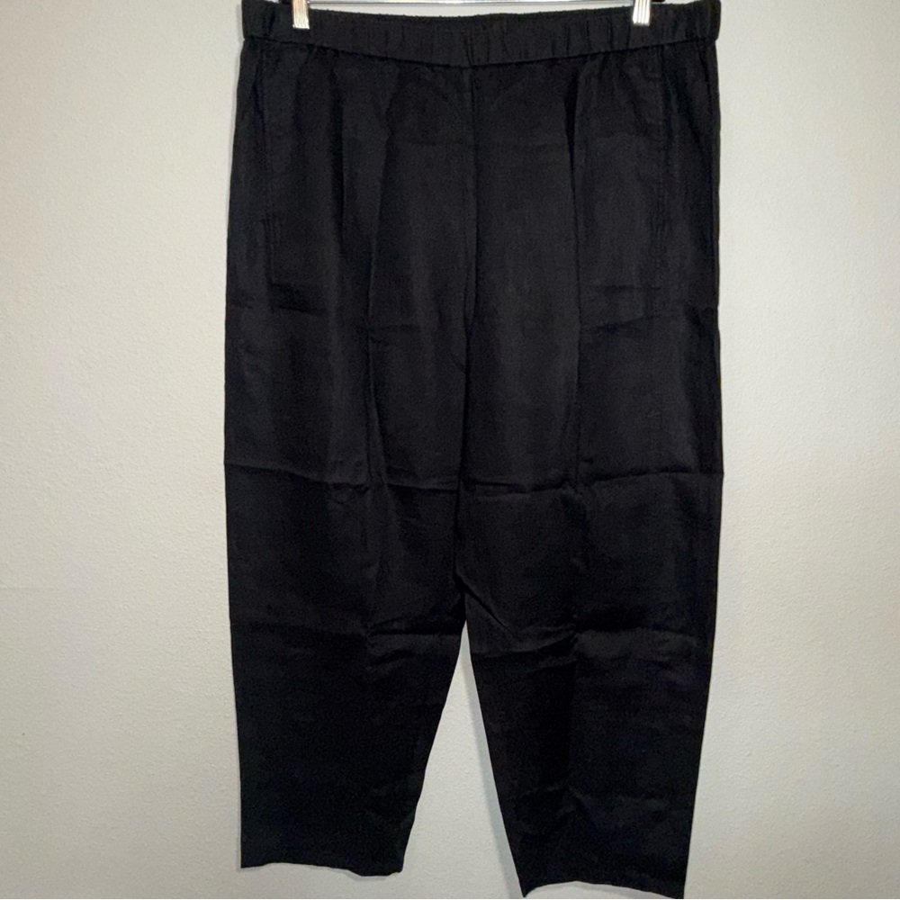 Eileen Fisher plus size linen pants 1X black
